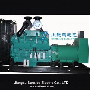 800kW industrielle dieselgeneratorer